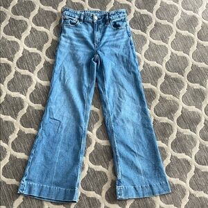 American Eagle Outfitters Light Blue Flare Jeans